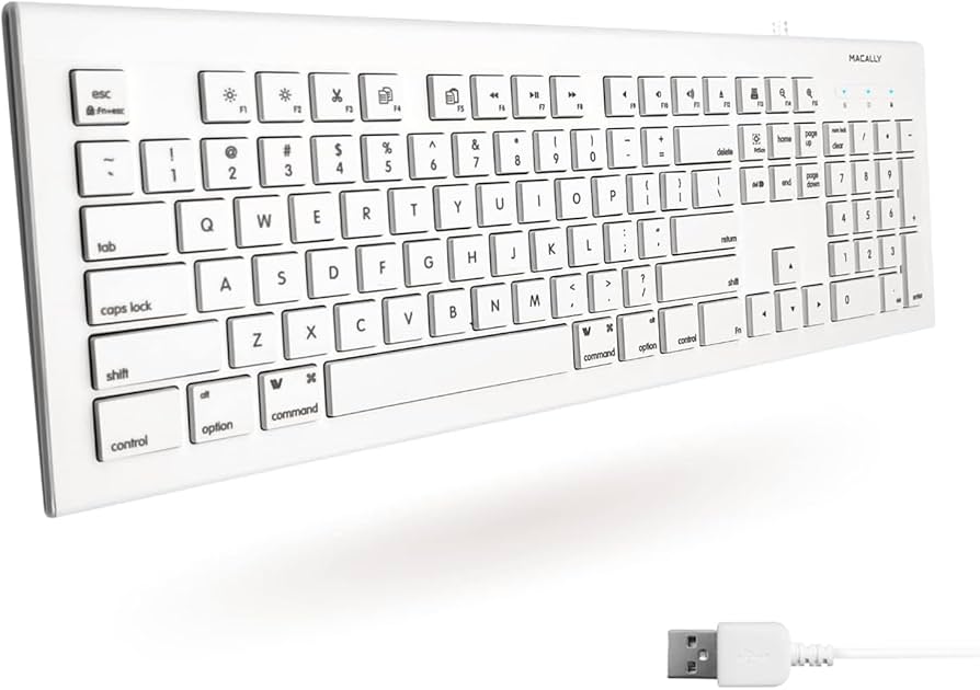 MACALLY Keyboard MKEYE 105 Key Full Size KeyBoard - USB A