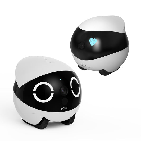 ENABOT Toy EBO SE Smart Familybot